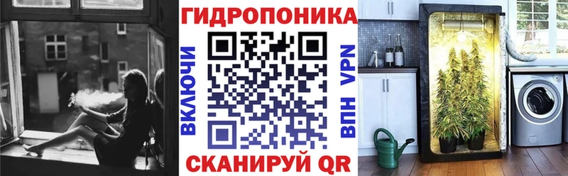 Каннабис планчик Ува